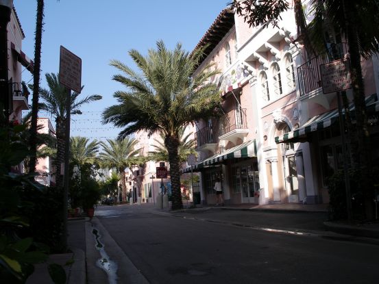this is a Florida morning