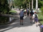 The beauty tour, through the lush higher-end neighborhoods